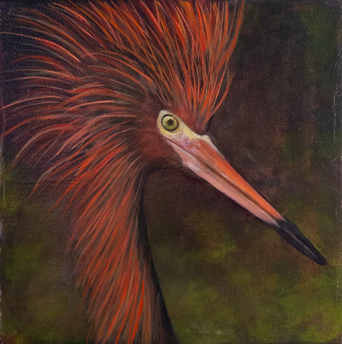 Crowned in Flame, The Ember King by Katheryn Anne Hande  Image: Crowned in Flame, The Ember King — A Reddish Egret blazing with wild beauty and fierce personality.