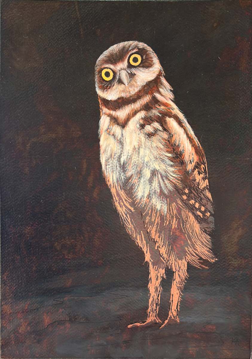 Burrowing Owl No. 1 by Katheryn Anne Hande, Image 1.