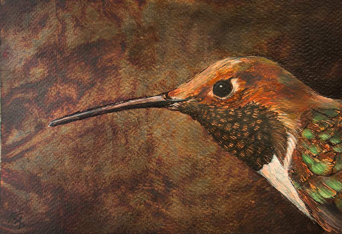 Hummingbird No. 4 by Katheryn Anne Hande, Image 1.