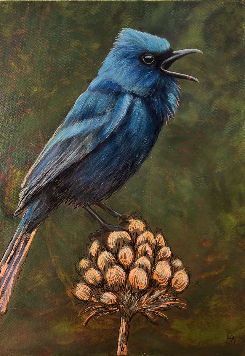 Flycatcher No. 1 by Katheryn Anne Hande, Image 1.