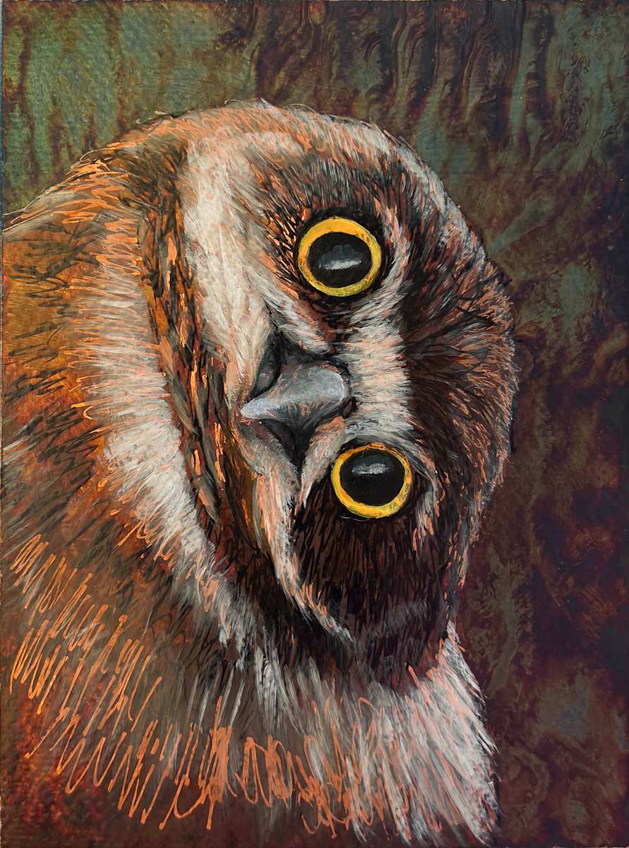 Burrowing Owl No. 2 by Katheryn Anne Hande, Image 1.