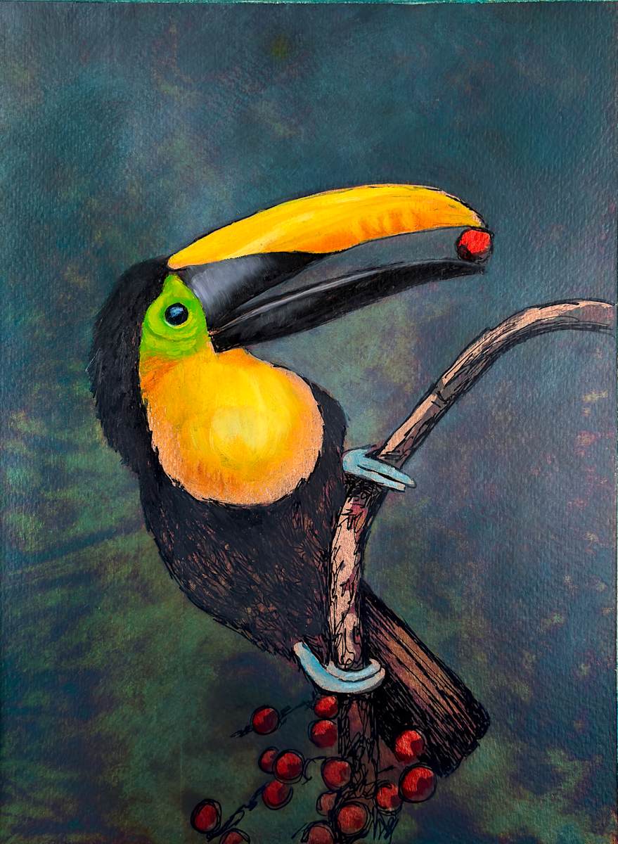 Toucan No. 1 by Katheryn Anne Hande, Image 1.