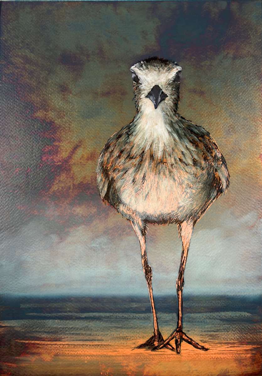 Plover No. 1 by Katheryn Anne Hande, Image 1.