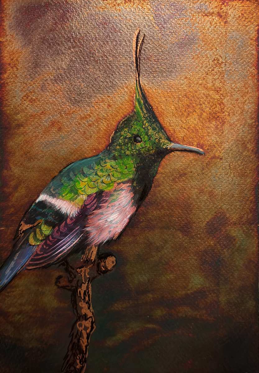 Hummingbird No. 14 by Katheryn Anne Hande, Image 1.