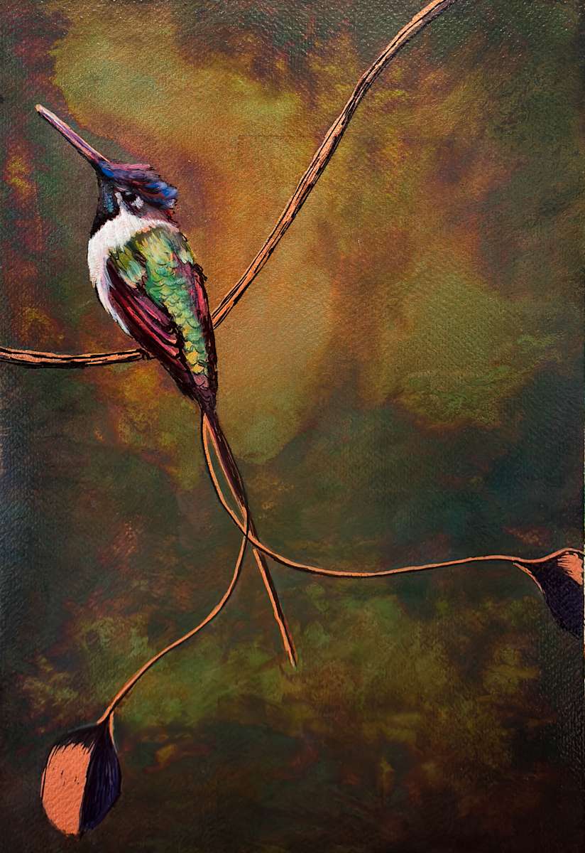Hummingbird No. 15 by Katheryn Anne Hande, Image 1.