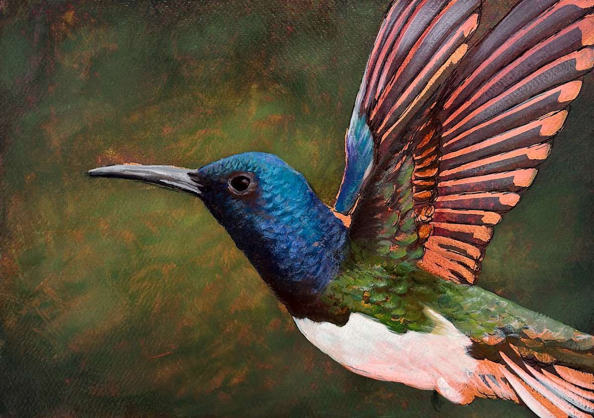 Hummingbird No. 16 by Katheryn Anne Hande, Image 1.