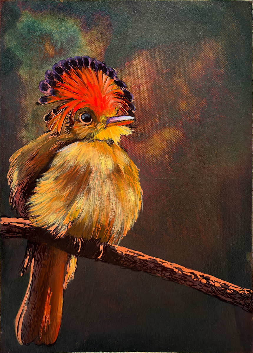 Flycatcher No. 2 by Katheryn Anne Hande, Image 1.