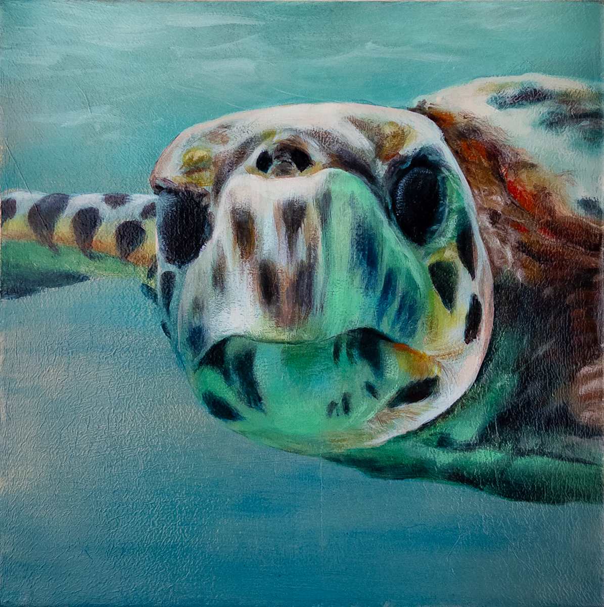 In the Flow of Forever by Katheryn Anne Hande  Image: In the Flow of Forever — A quiet encounter with an ancient traveler of the sea.