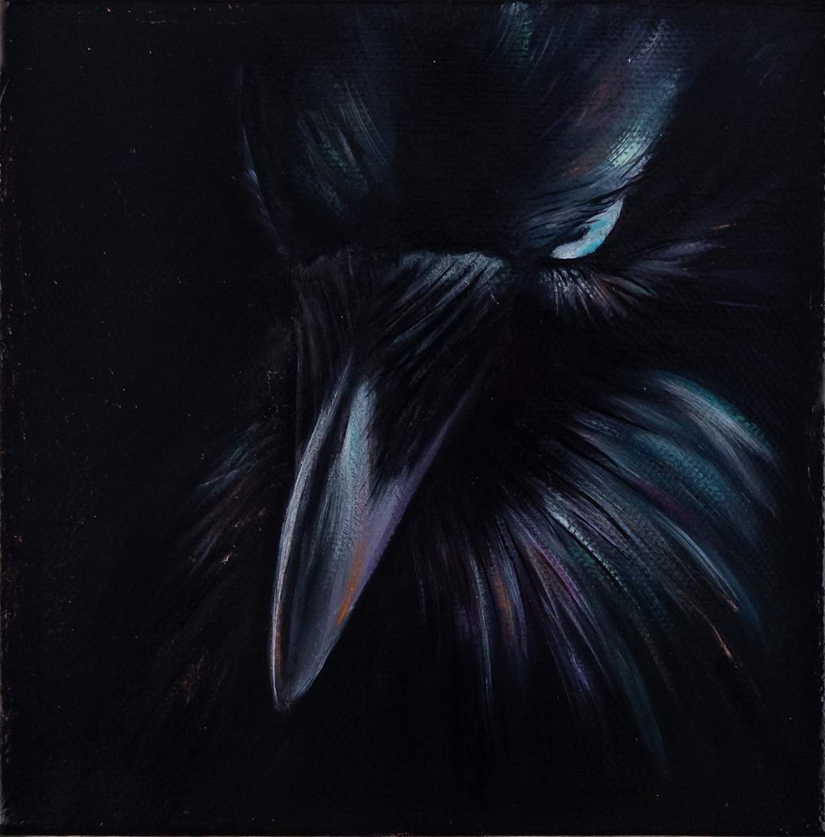 Quiet Shadows Bloom With Light by Katheryn Anne Hande  Image: Quiet Shadows Bloom with Light — A raven glowing with strength and quiet brilliance.
