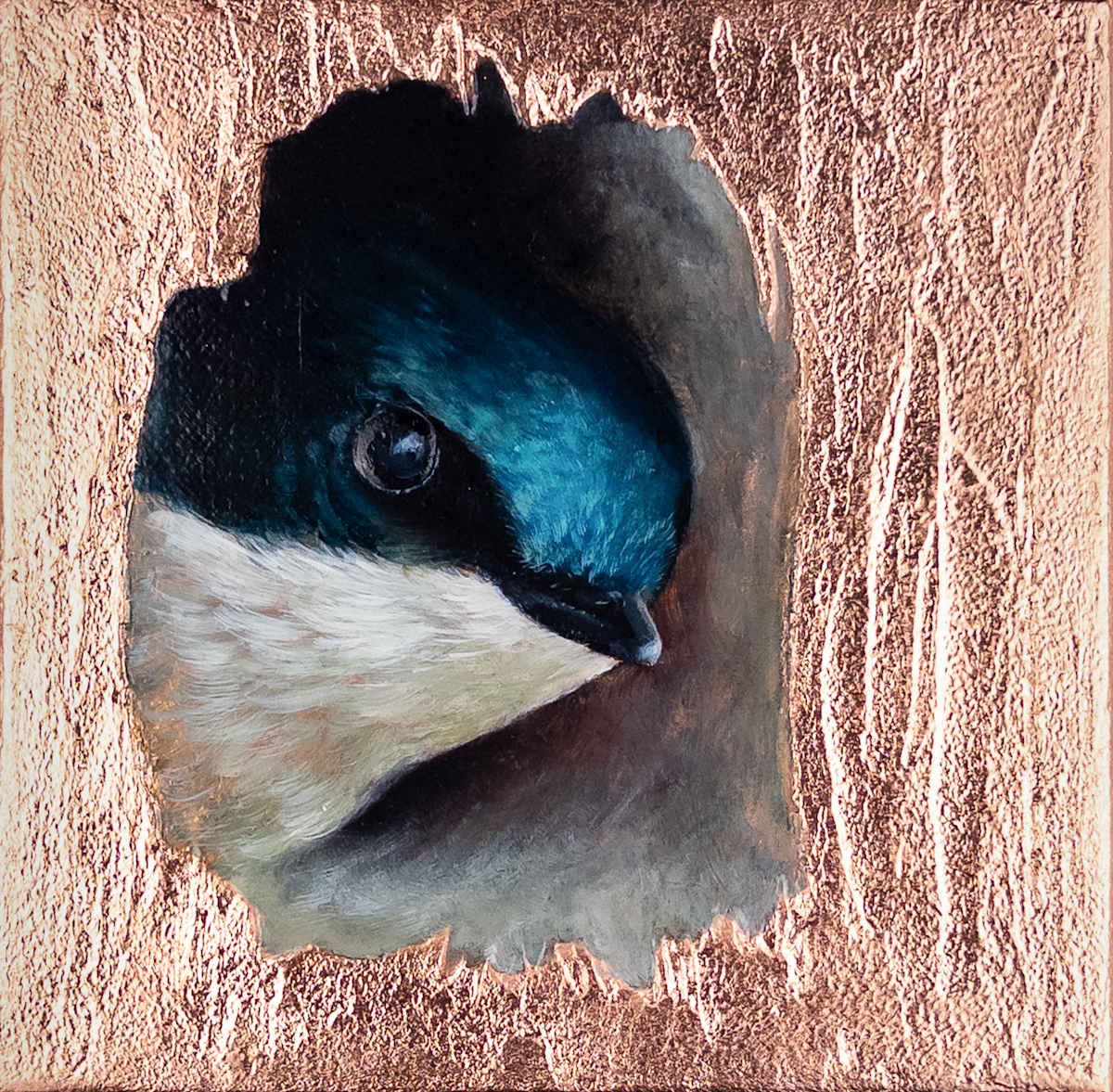 Hello, Beautiful World by Katheryn Anne Hande  Image: Hello, Beautiful World — A curious Tree Swallow greeting the day from the safety of its nest.