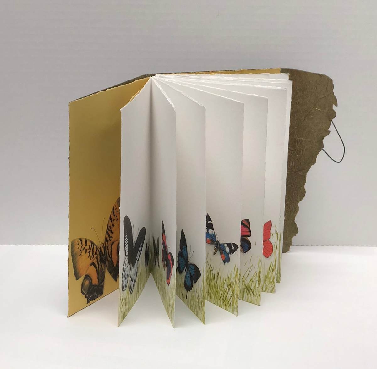 Flutter Book by Janet Hickey, Image 1.