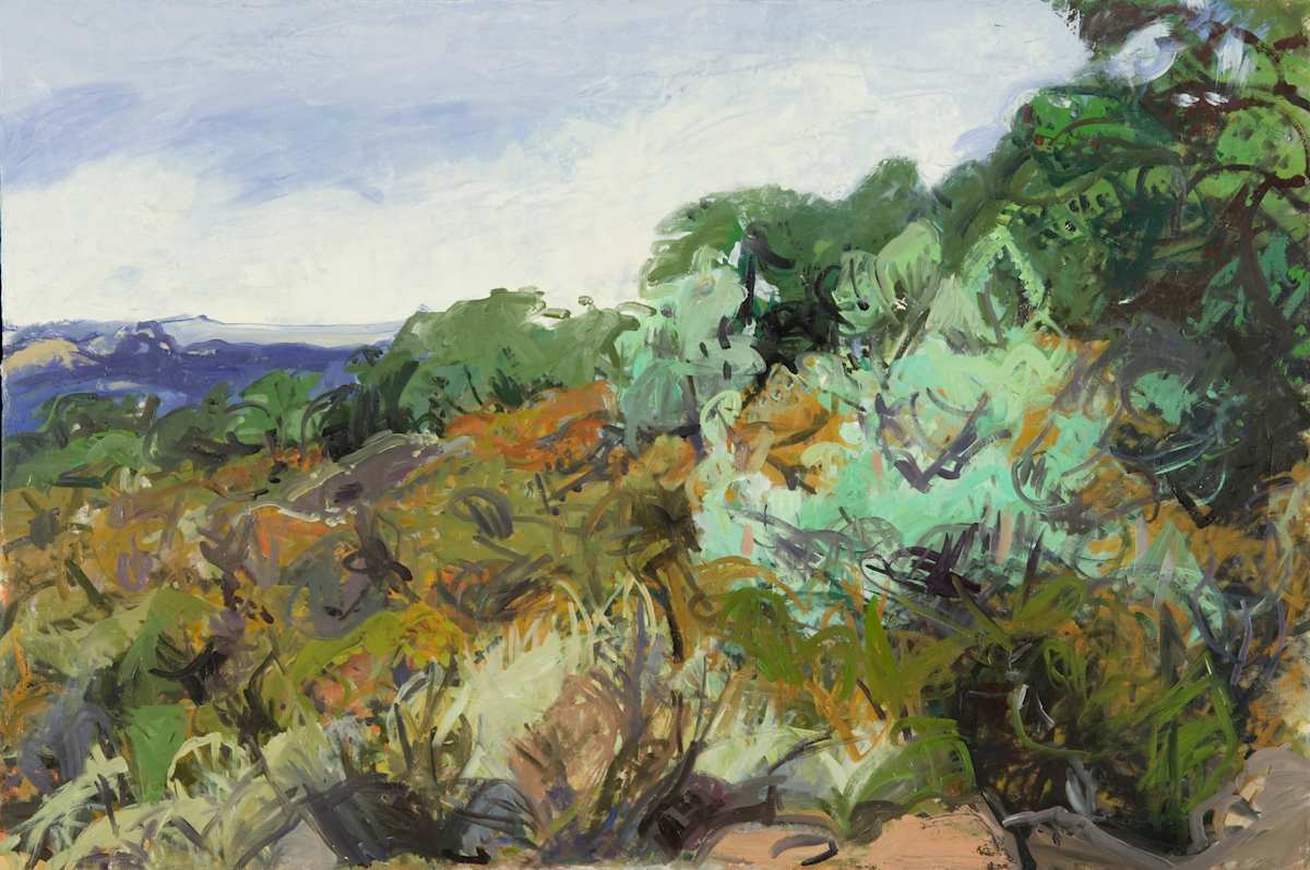 Ghost Pines Rabbit Bush Chamise by Betsy Kendall, Image 1.