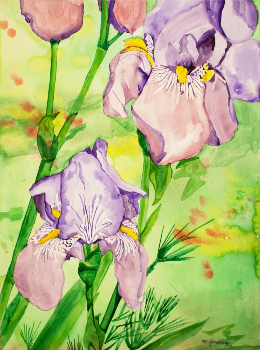 Iris by Maryam Gossling, FSPA 