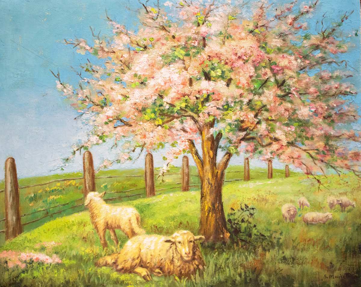 Sheep in Pasture by Marietta Hackner, FSPA, Image 1.