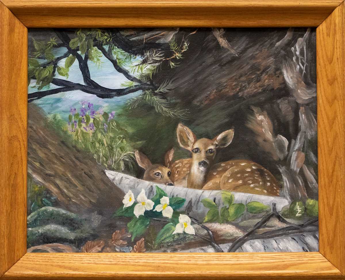 Twin Fawns by Mary Elizabeth Heller, FSPA 