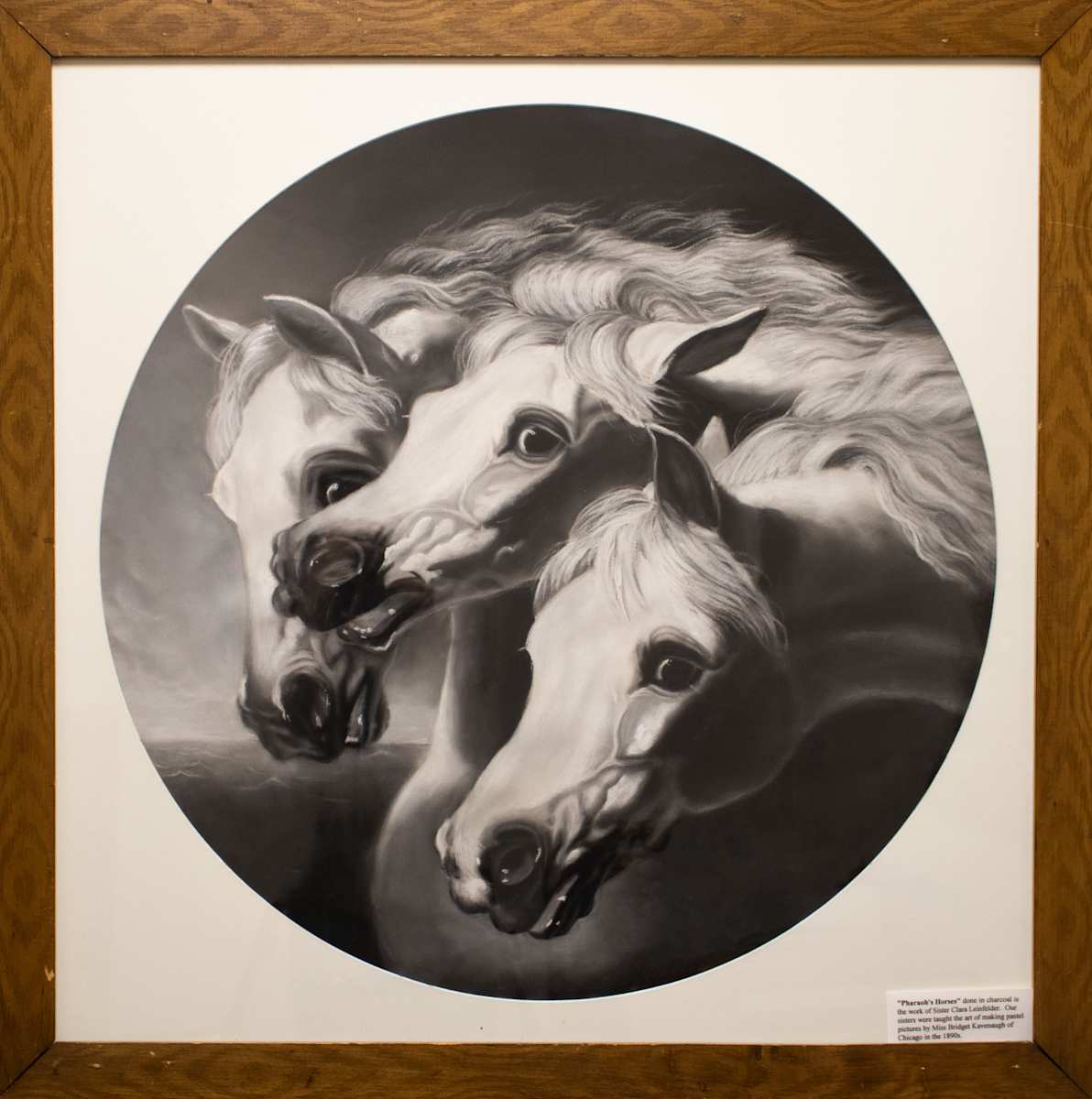 Pharaoh's Horses by Clara Leinfelder, FSPA, Image 1.
