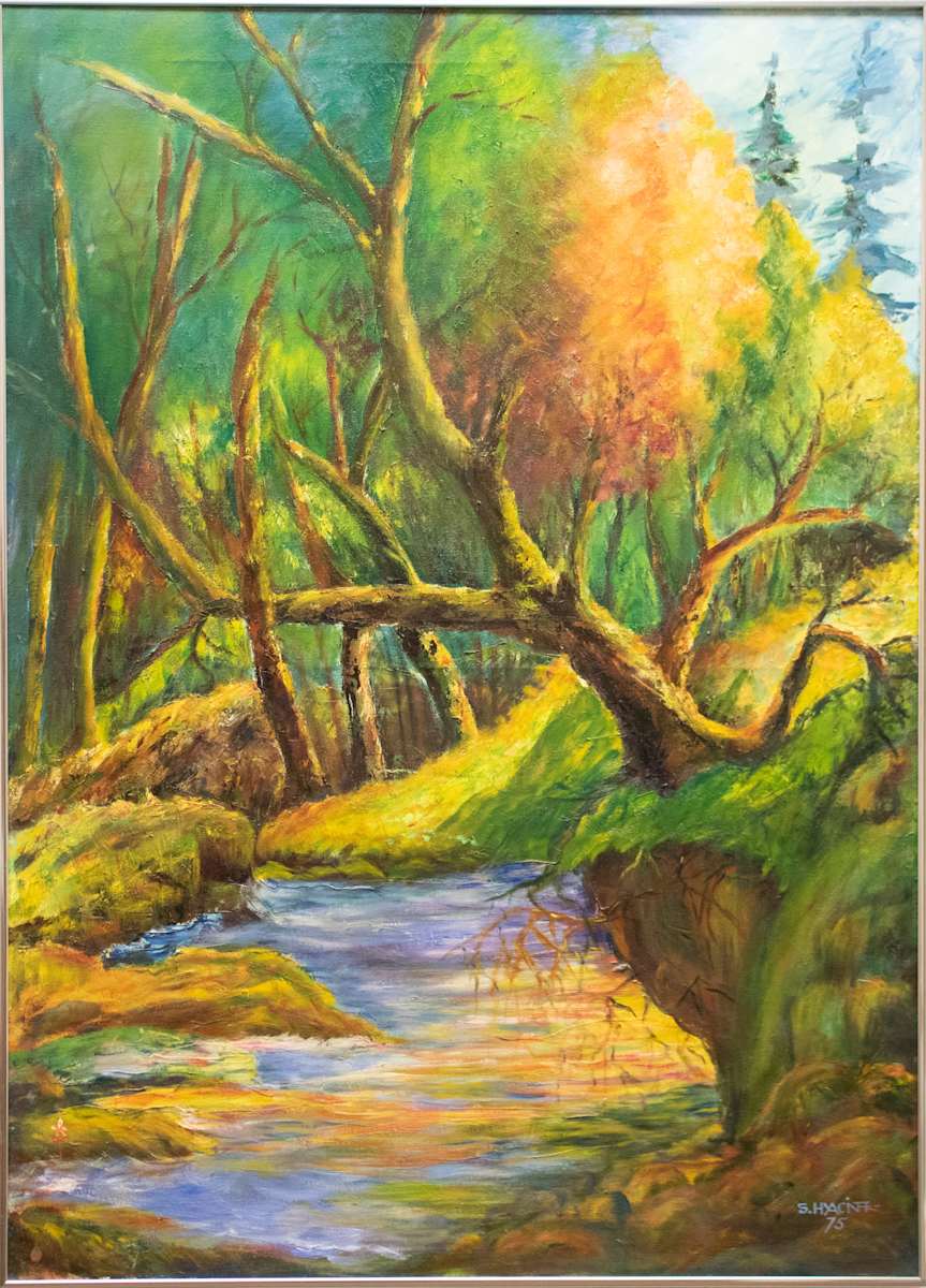 Amnicon Falls by Hyacinth Maslowski, FSPA 