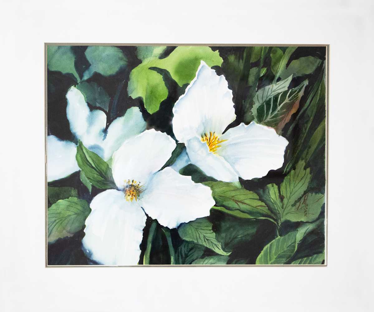 Trilliums by Margaret Ann Schlosser, FSPA 