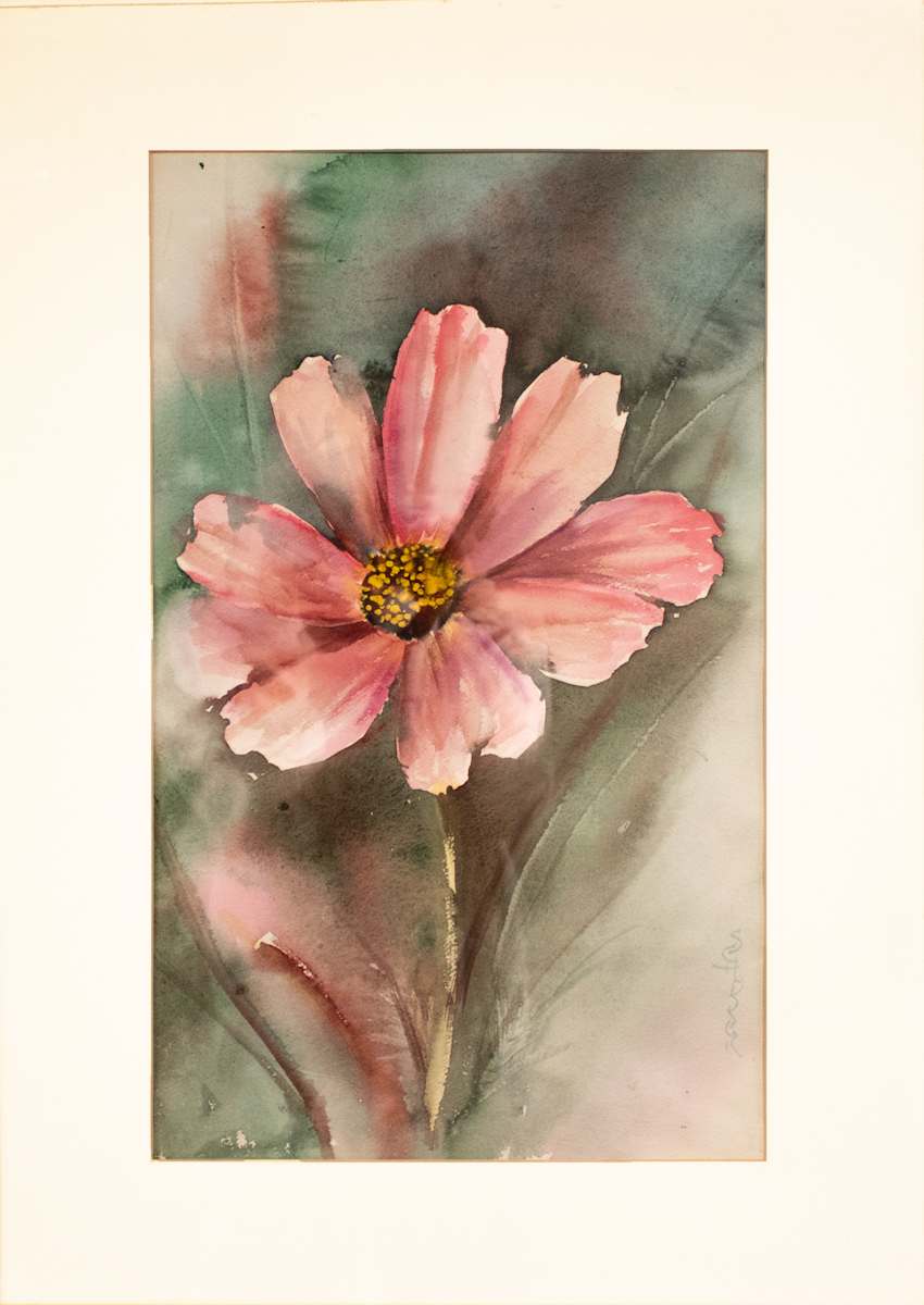 Cosmos by Margaret Ann Schlosser, FSPA 