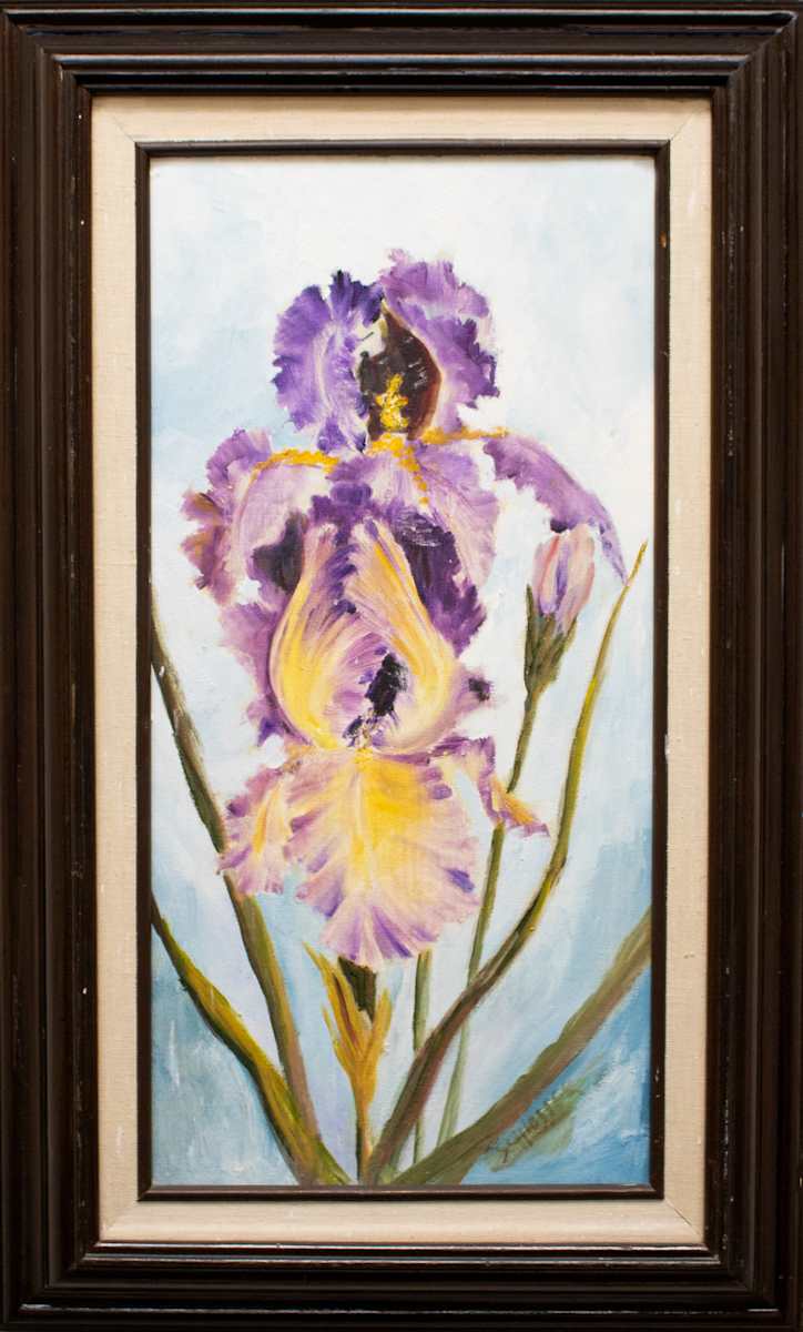 Iris by Margaret Ann Schlosser, FSPA 