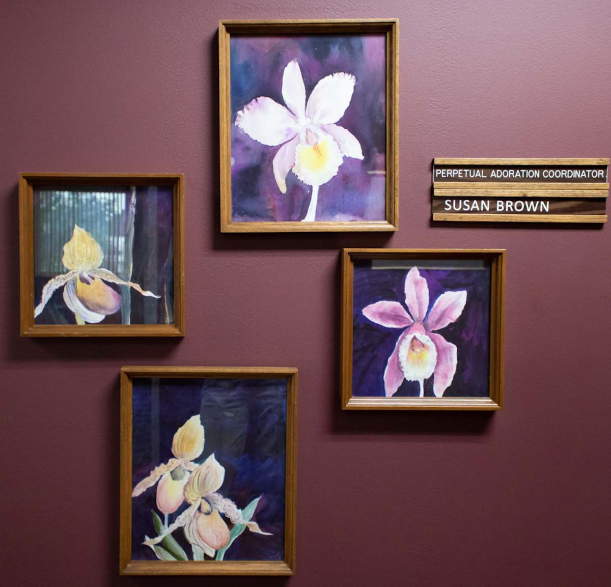 Iris Series by Pauline Wittry, FSPA, Image 1.