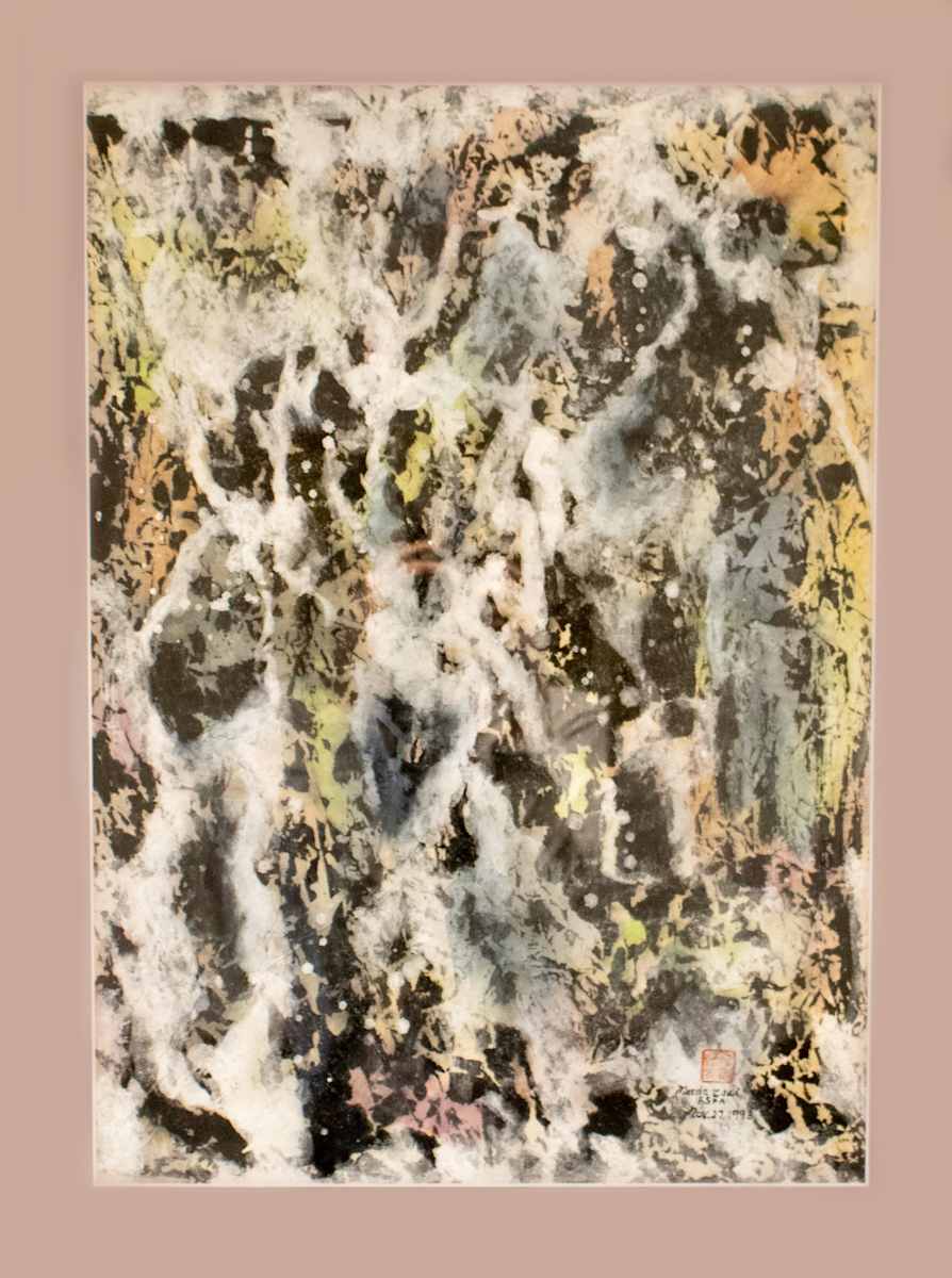 Salve, Shadow Play by Marda Tsai, FSPA 