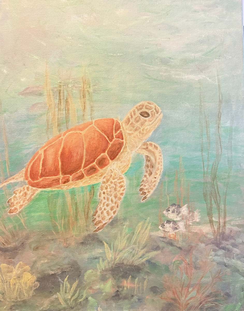 Hawaii Turtle by Karin Faris Hills 