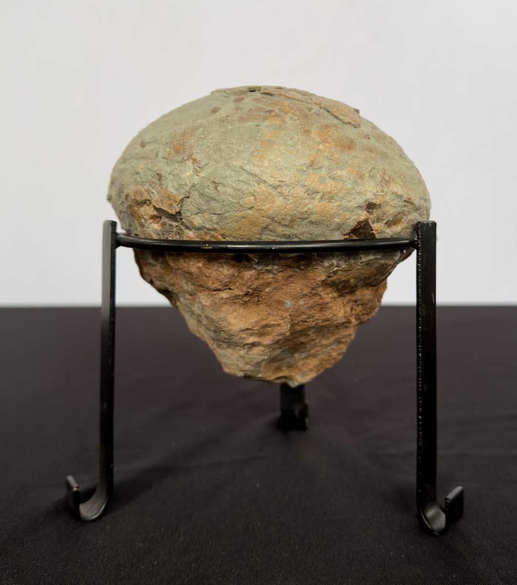 Dinosaur egg 
