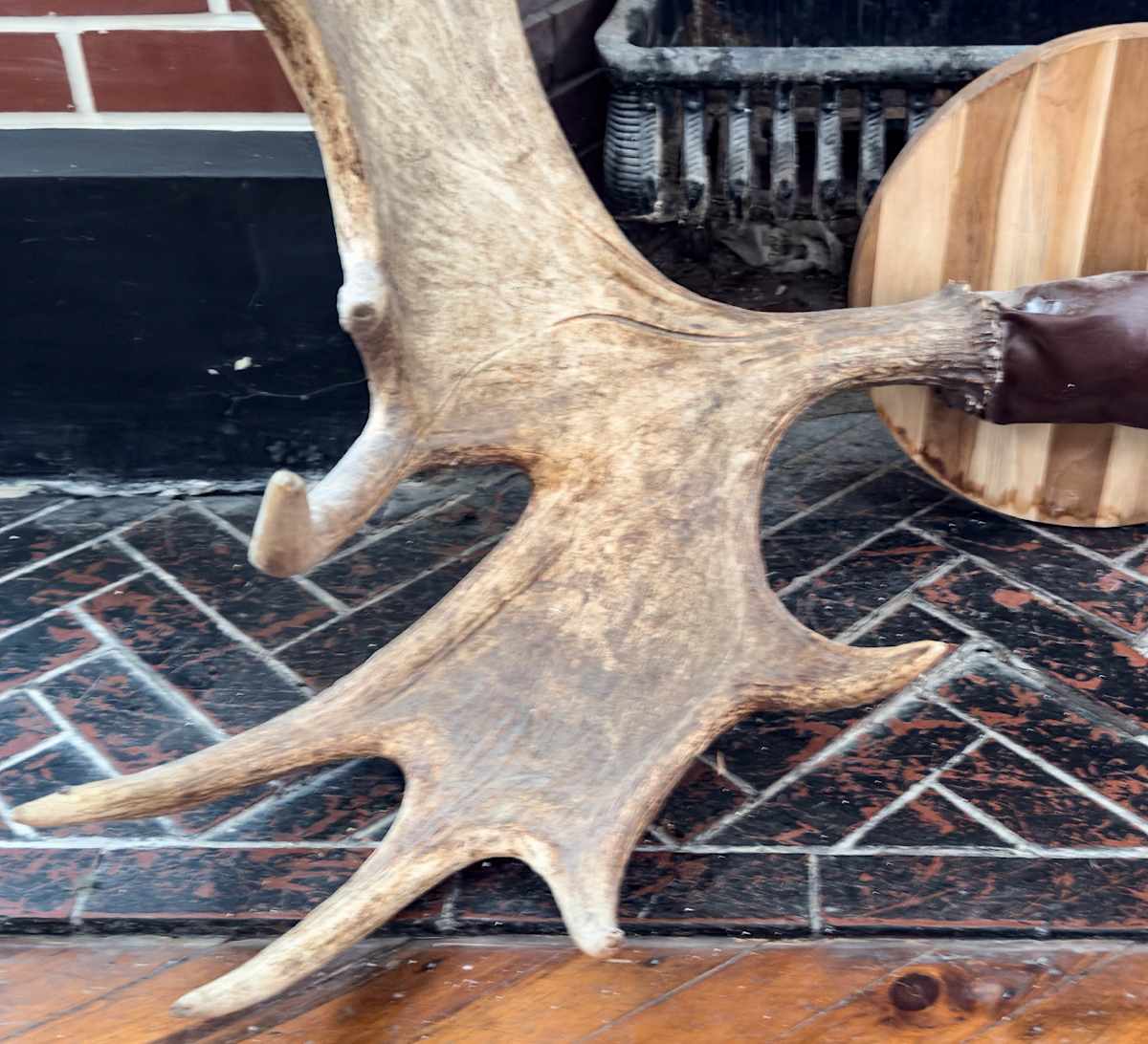 Moose rack, Image 1.