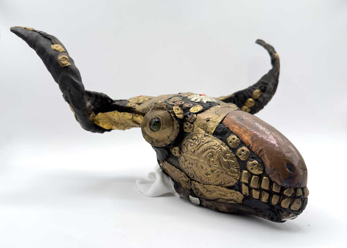 Ritual Tibet ram skull 