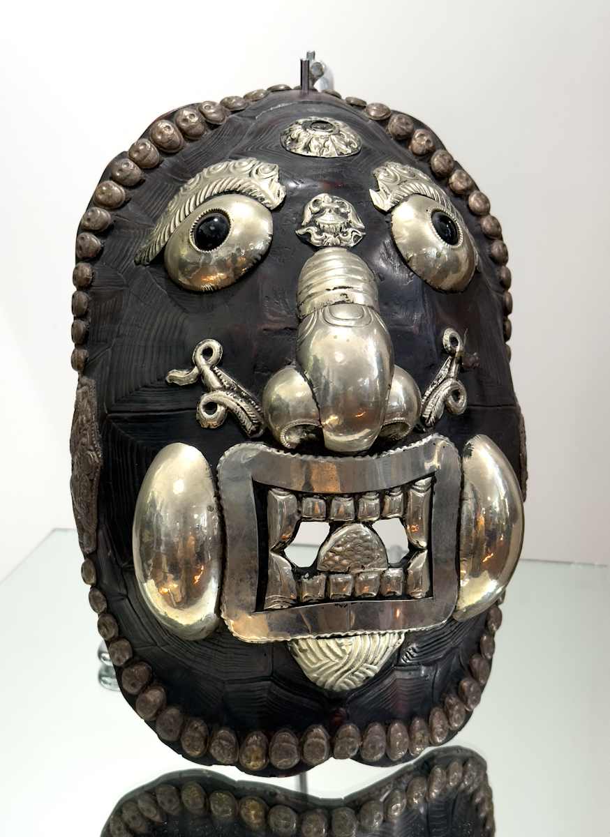 Turtle shell mask 