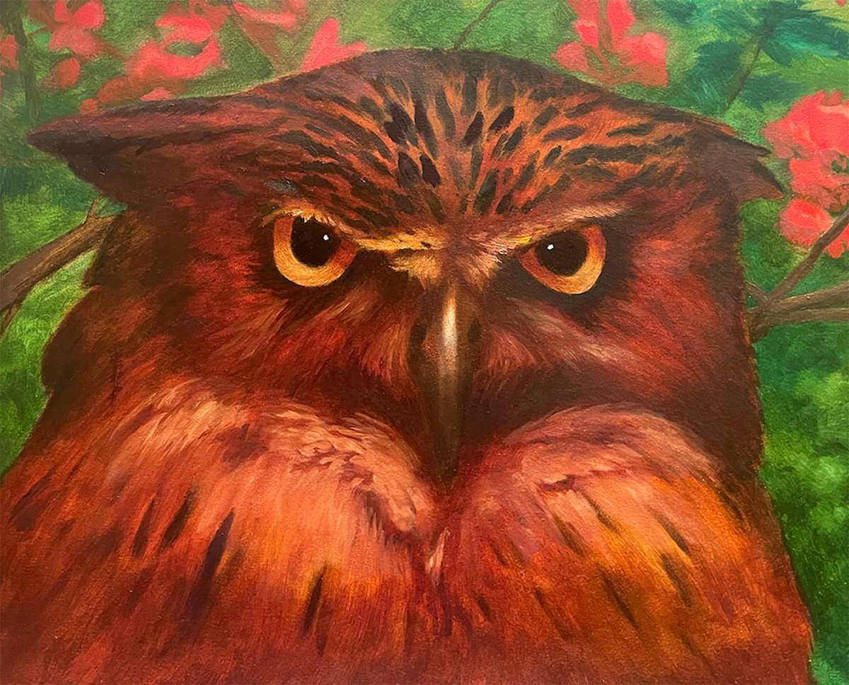 Intensity by Krister Eide 