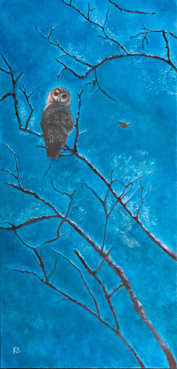 The Owl Who Wasn't There by Krister Eide 