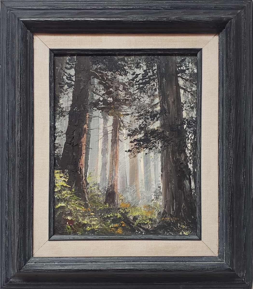 Untitled - Forest Trees 