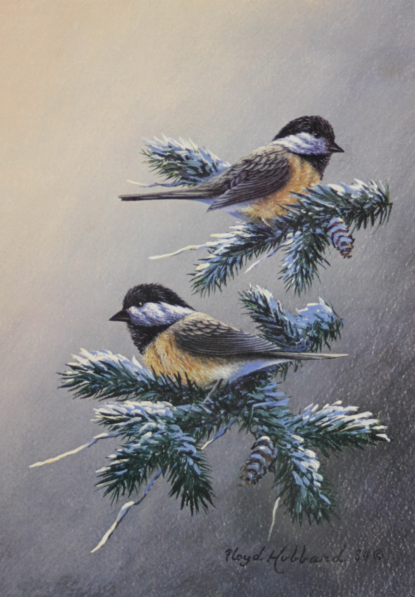 Chickadees by Floyd Hubbard 