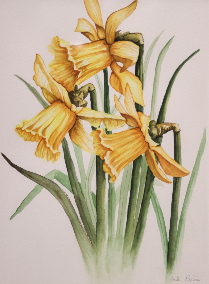 Daffoldils by Anita Pierce, Image 1.
