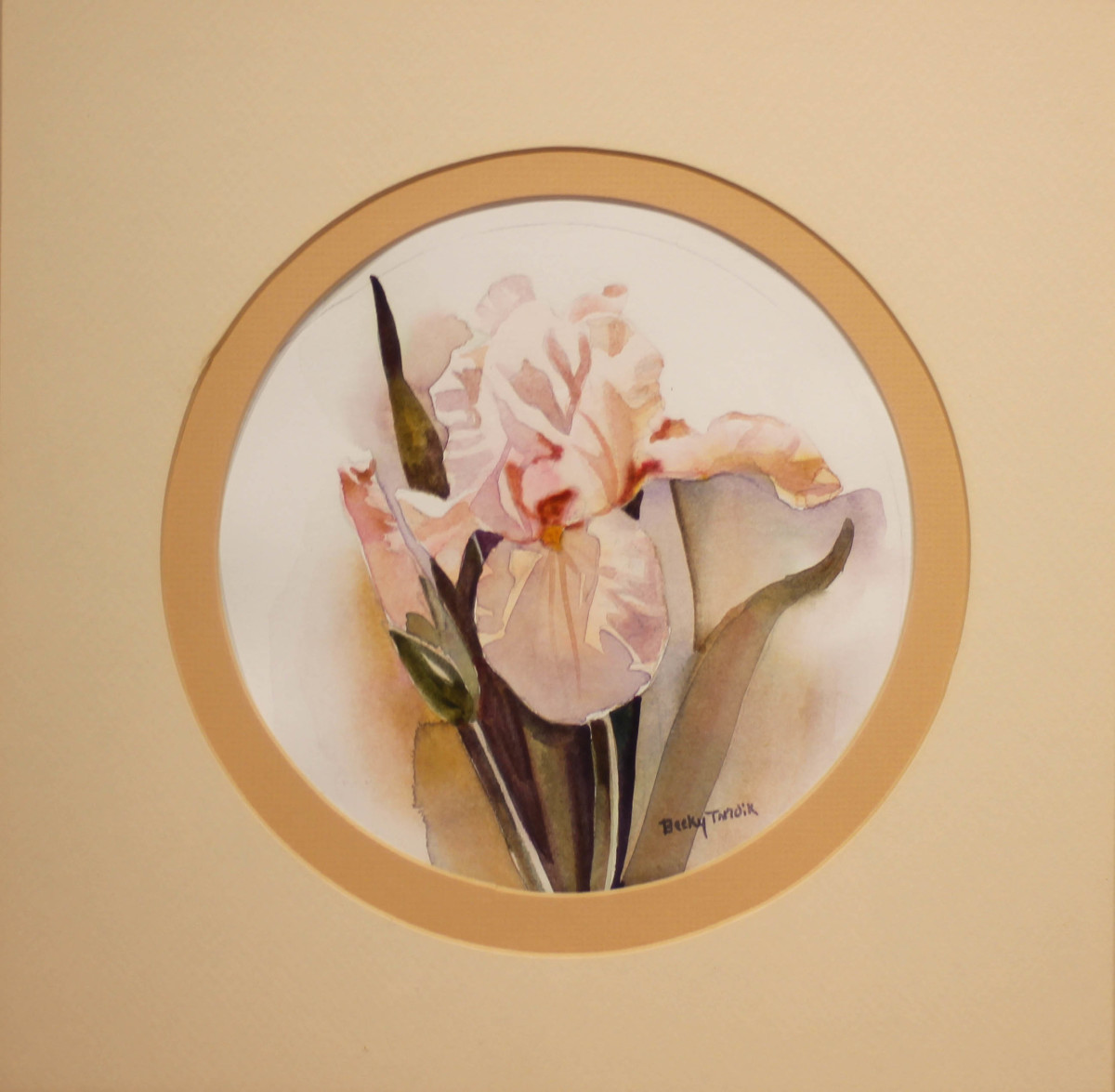Iris by Bettie Terndik 