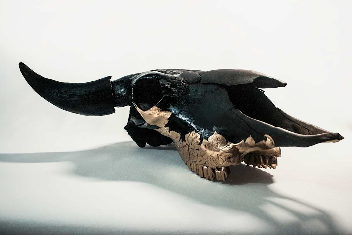 Bison Skull 2 by Peter Vu 