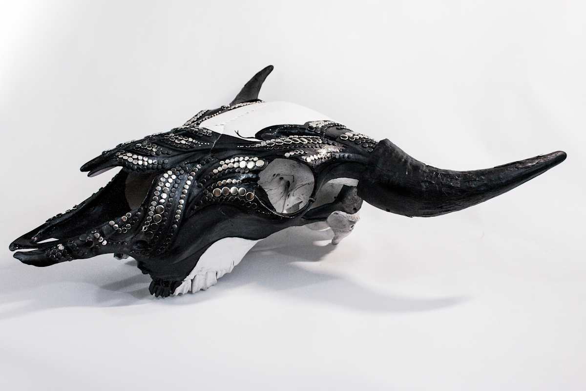 Bison Skull 1 by Peter Vu 