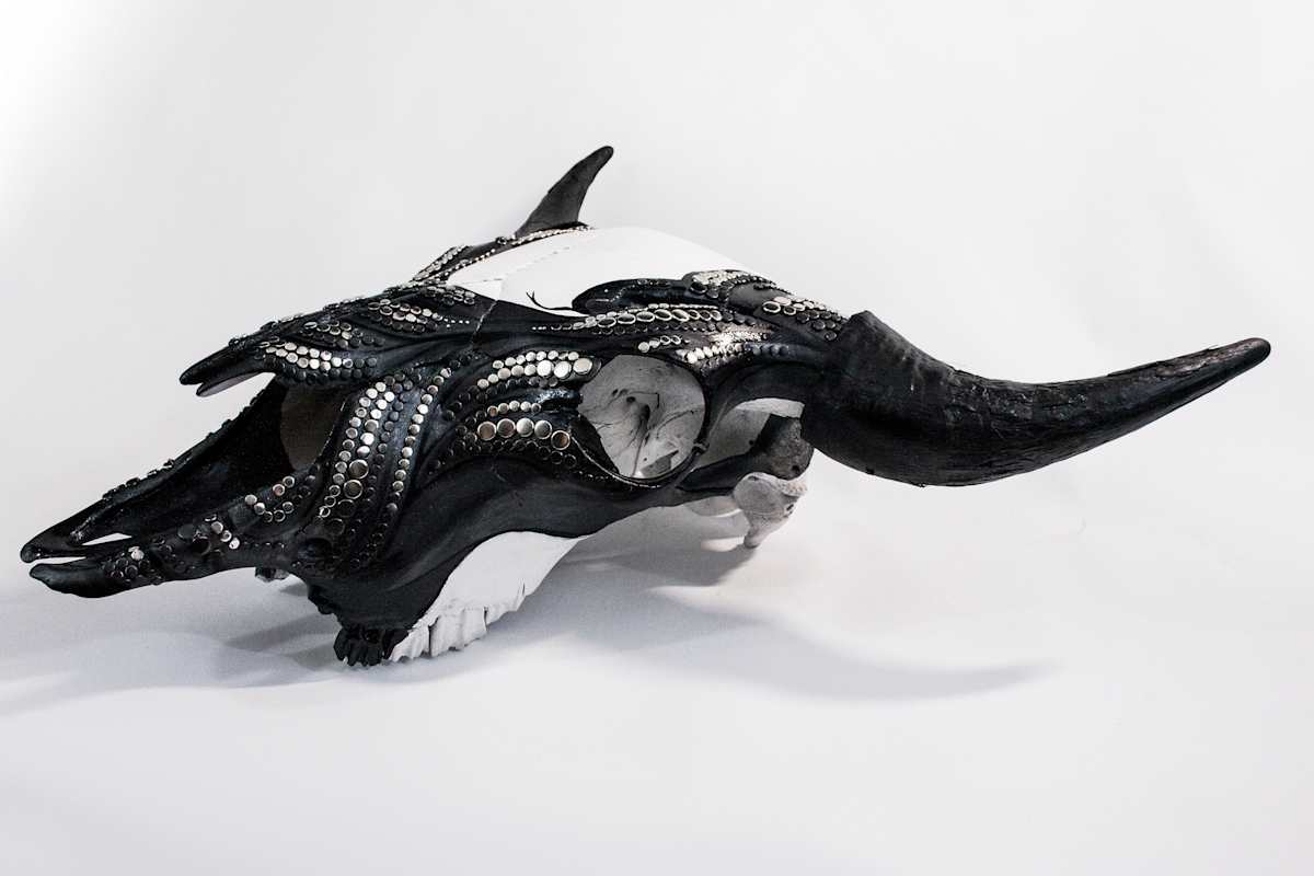 Bison Skull 1 by Peter Vu, Image 1.