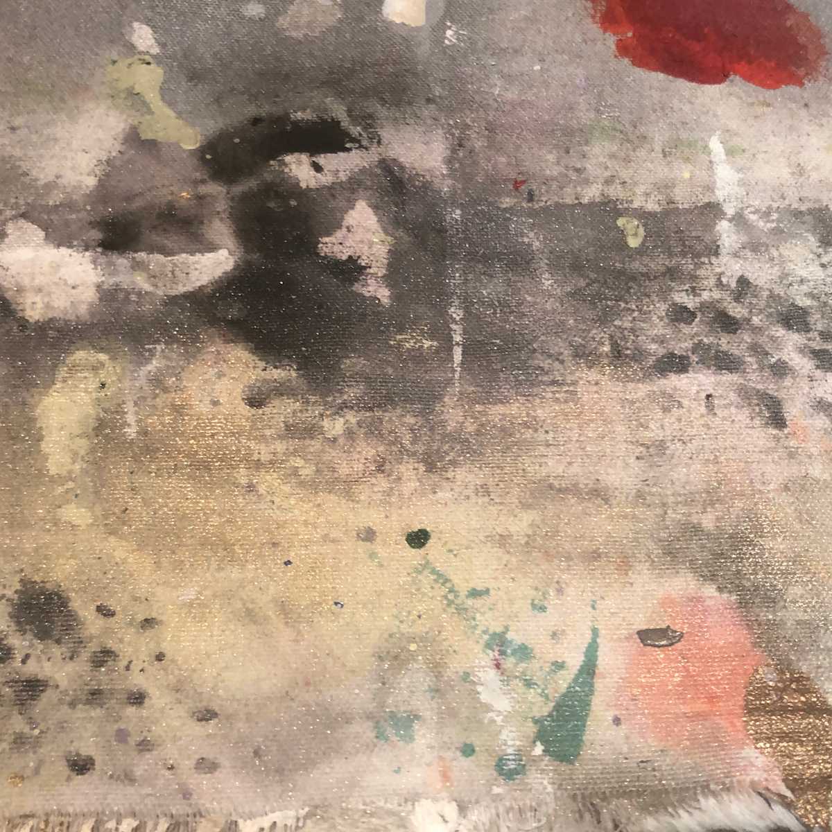 Canvas field 1 by Janet Heekin 