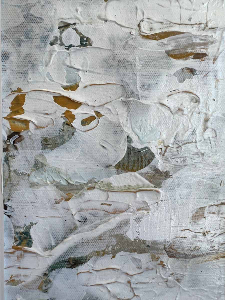 Snowhill by Janet Heekin 