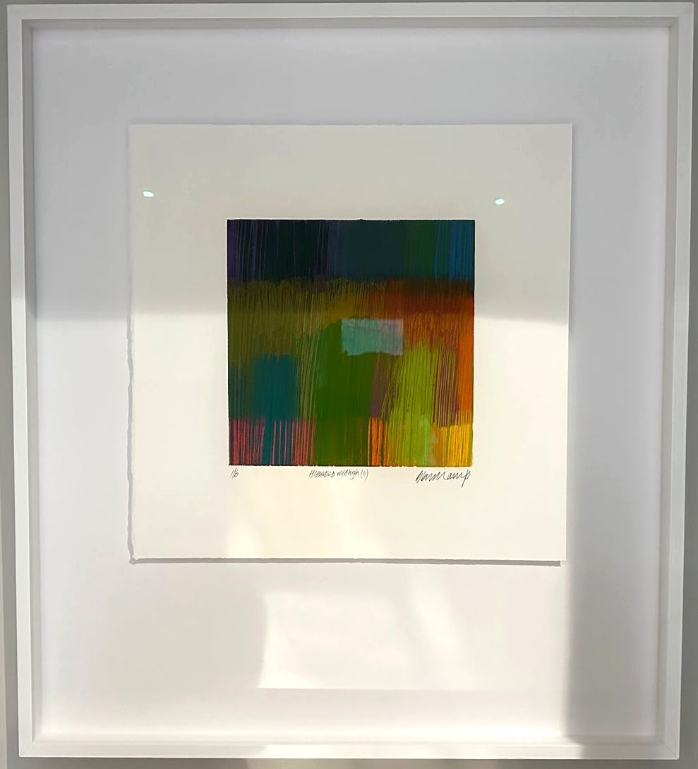 Highveld Veld (11) by Paul Blomkamp, Image 1.