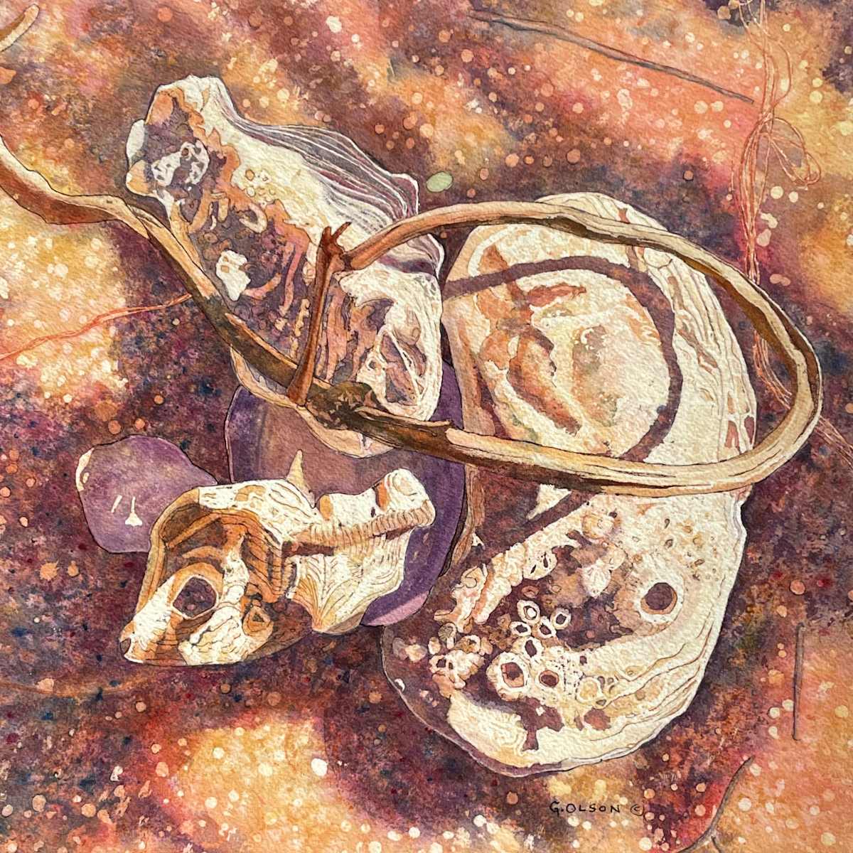 Shell Whimsy 3 by Gillian Olson, Image 1.