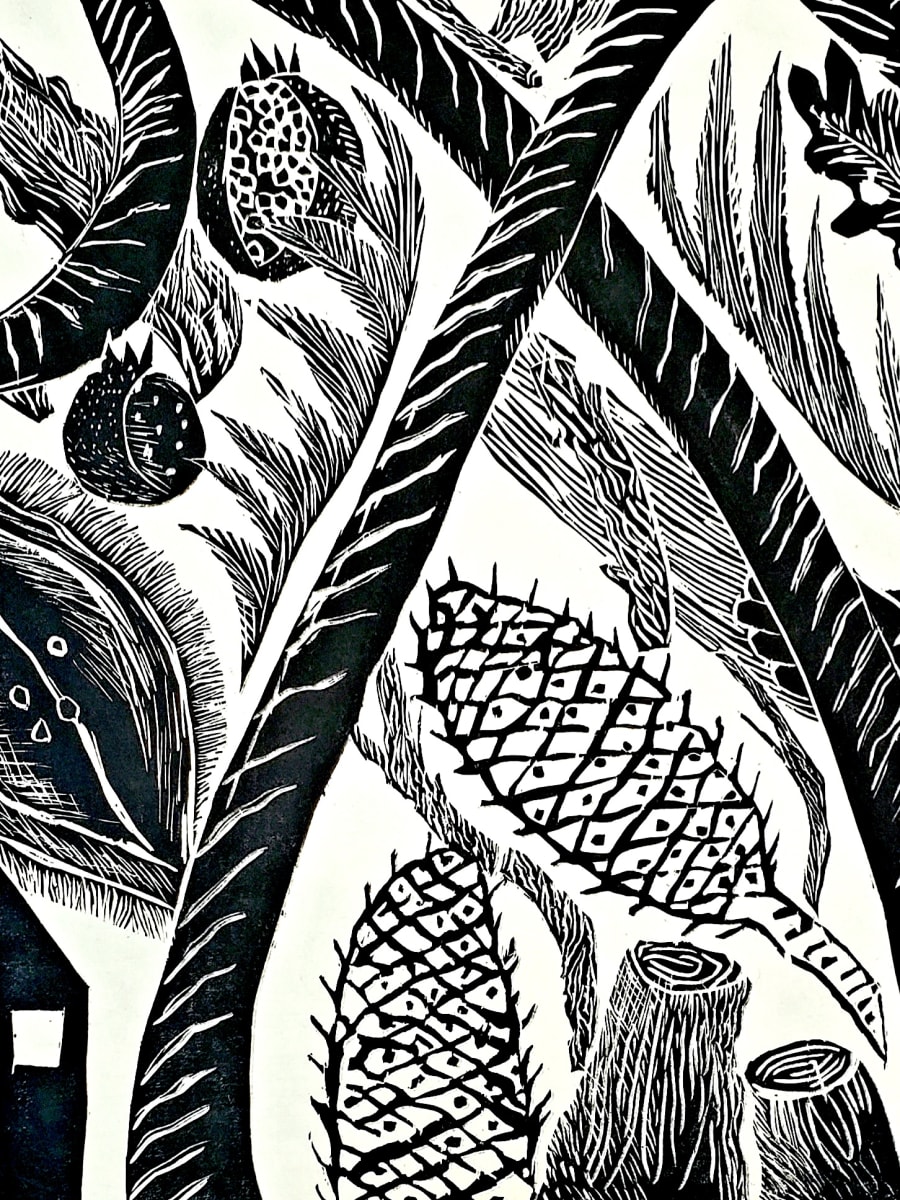 Pinecone by Barrie l Kaufman 