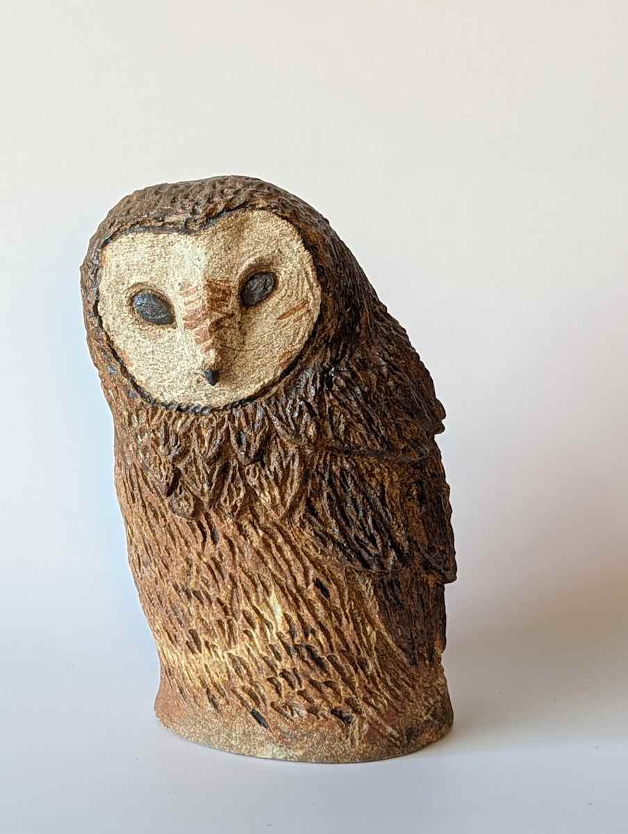 Barn Owl by Jill Robinson 