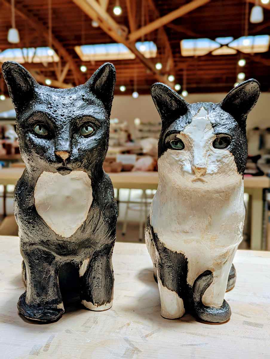 Tuxedo Cats by Jill Robinson 