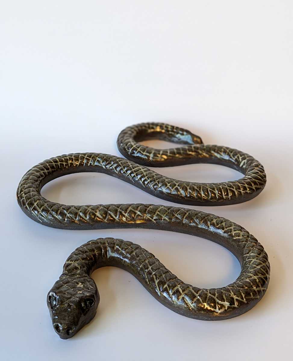 Gold Rutile Snake by Jill Robinson 