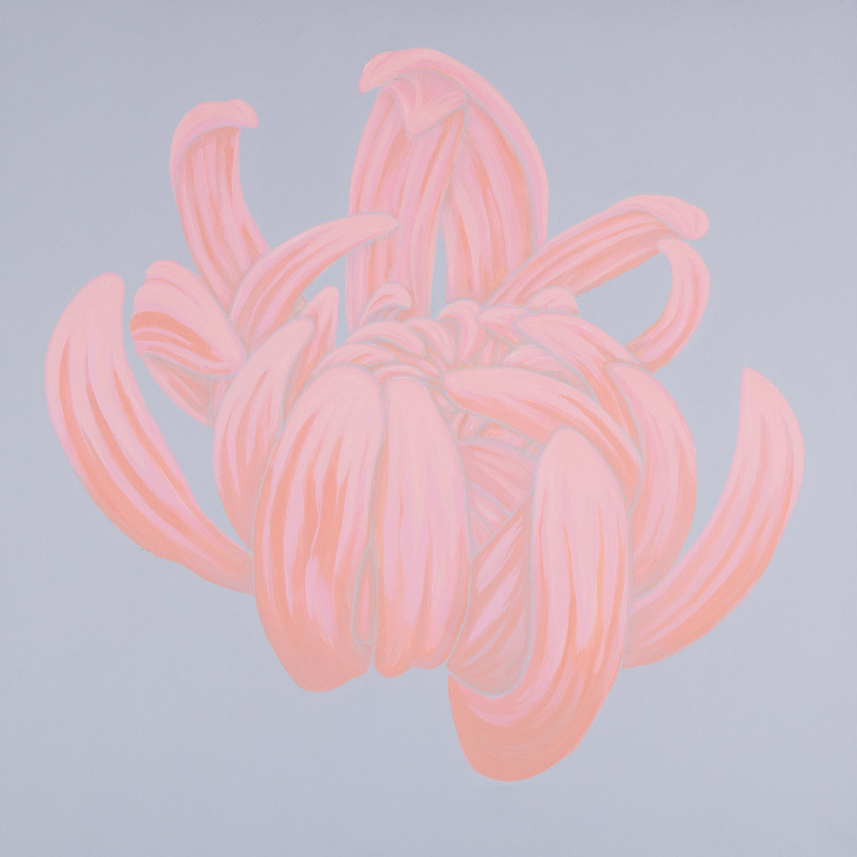 Chiffon II by Nicci Sevier-Vuyk  Image: Chiffon II, acrylic pop art floral painting