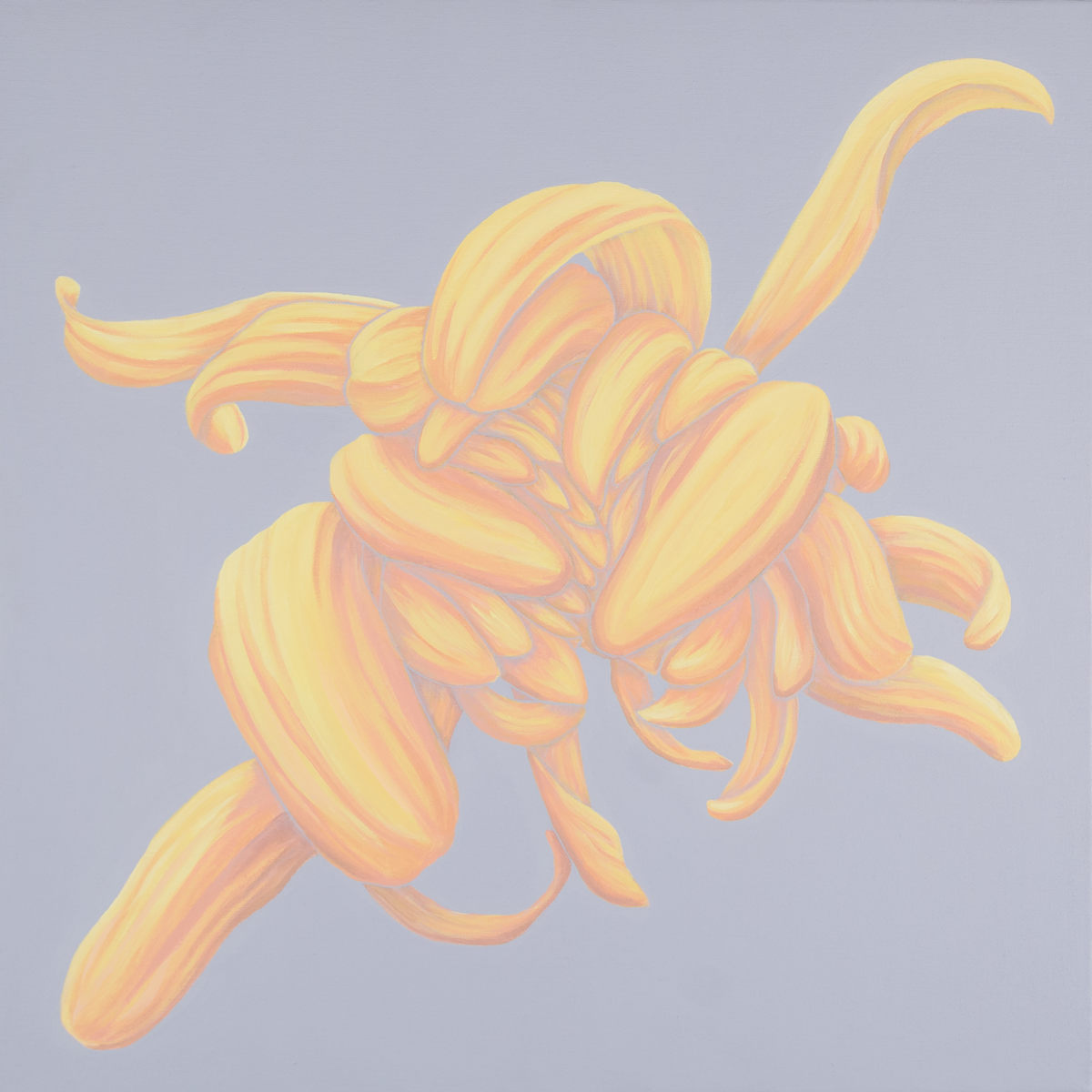 Chiffon I by Nicci Sevier-Vuyk  Image: Chiffon I, , acrylic pop art floral painting